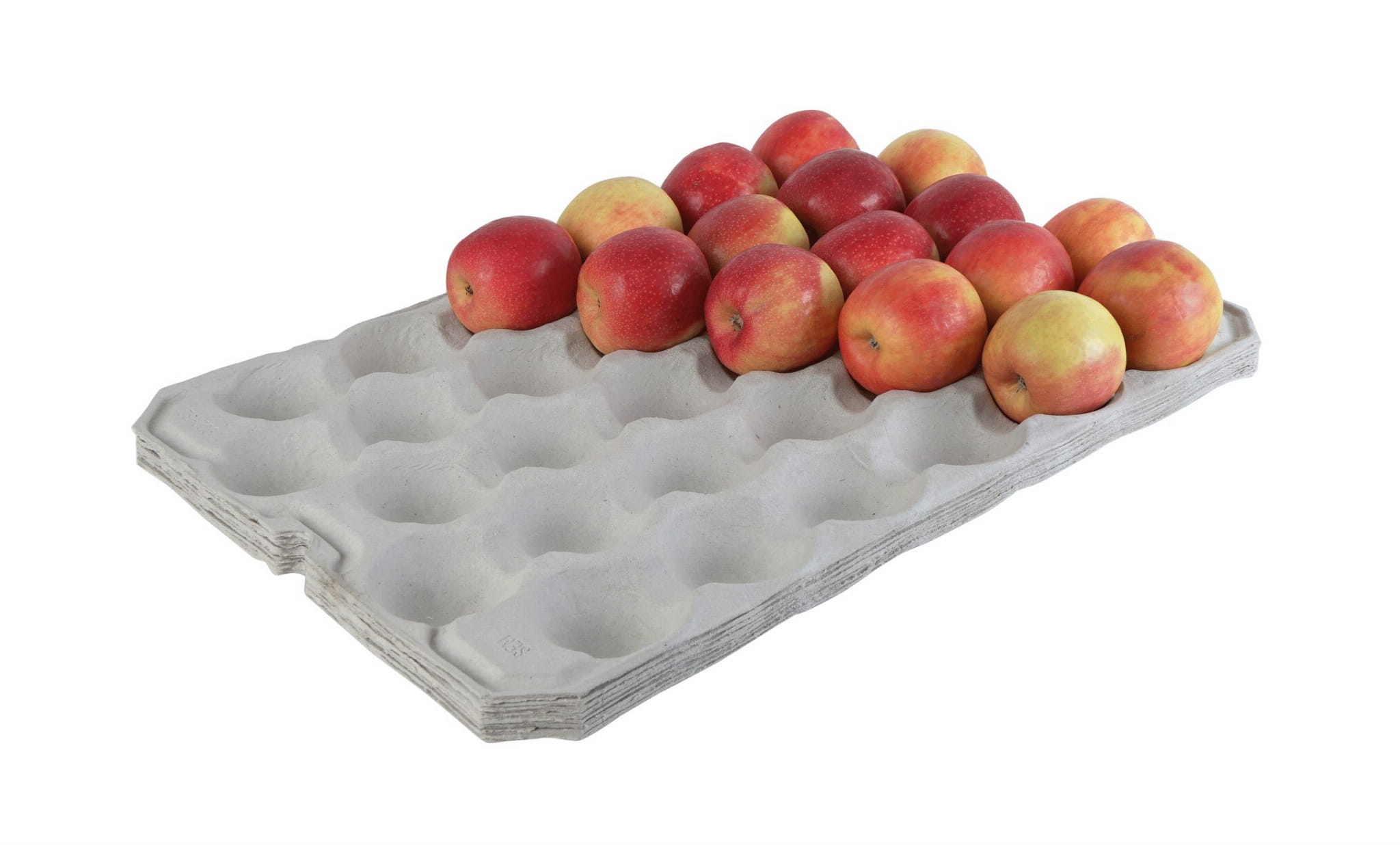 Fruit Trays